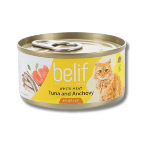 בליף מעדן טונה ואנשובי ברוטב לחתולים 85 גרם Belif - בליף